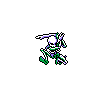 Bone