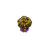 Brain
