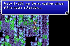 Chapitre 7