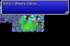 Chapitre 7
