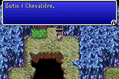 Chapitre 15