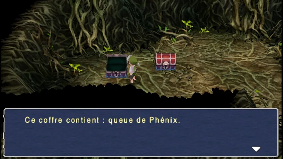 Chapitre 8