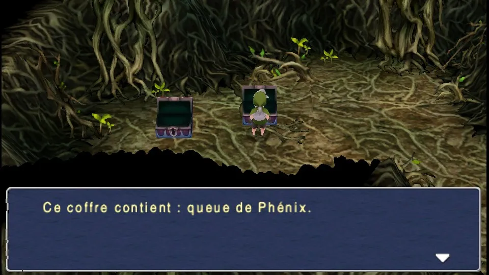 Chapitre 8