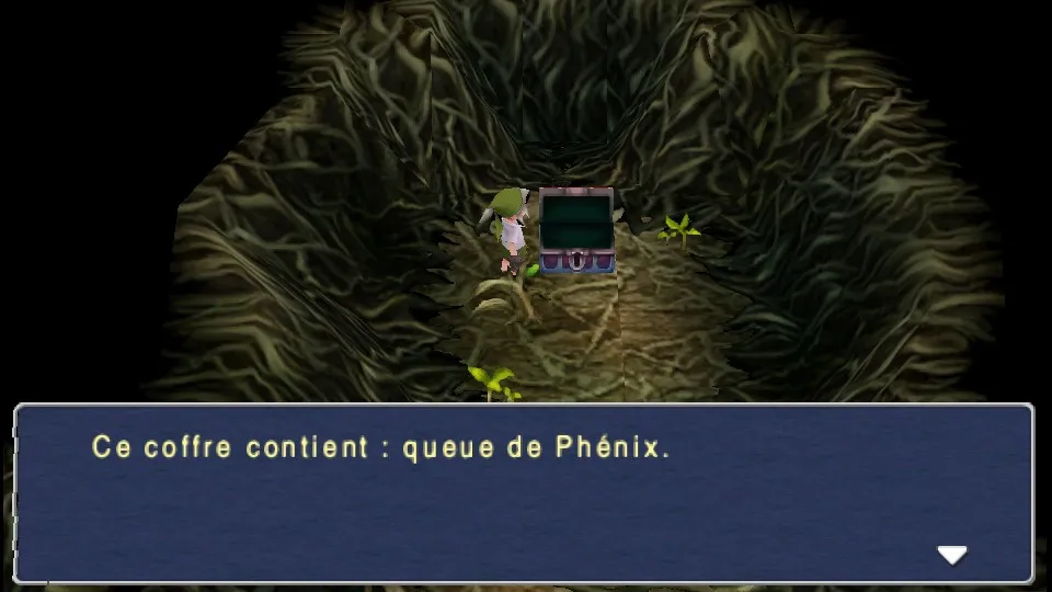 Chapitre 8