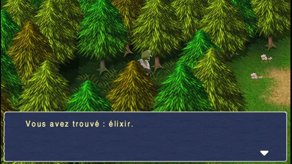 Chapitre 11