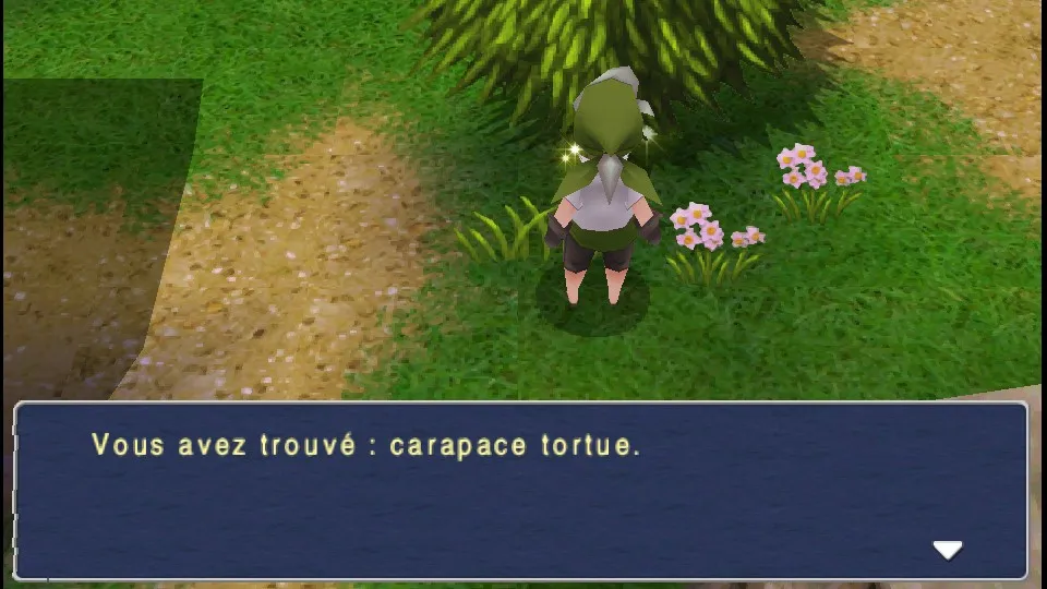 Chapitre 11