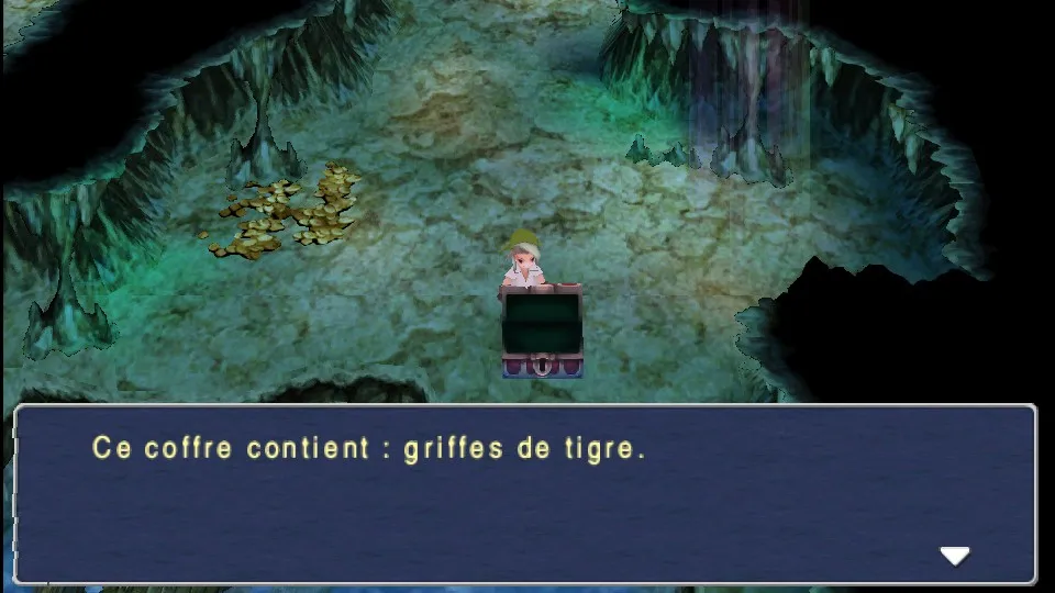 Chapitre 13