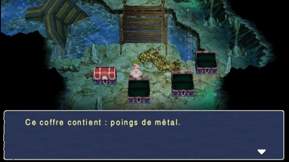Chapitre 13