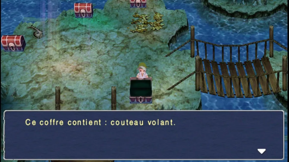Chapitre 13