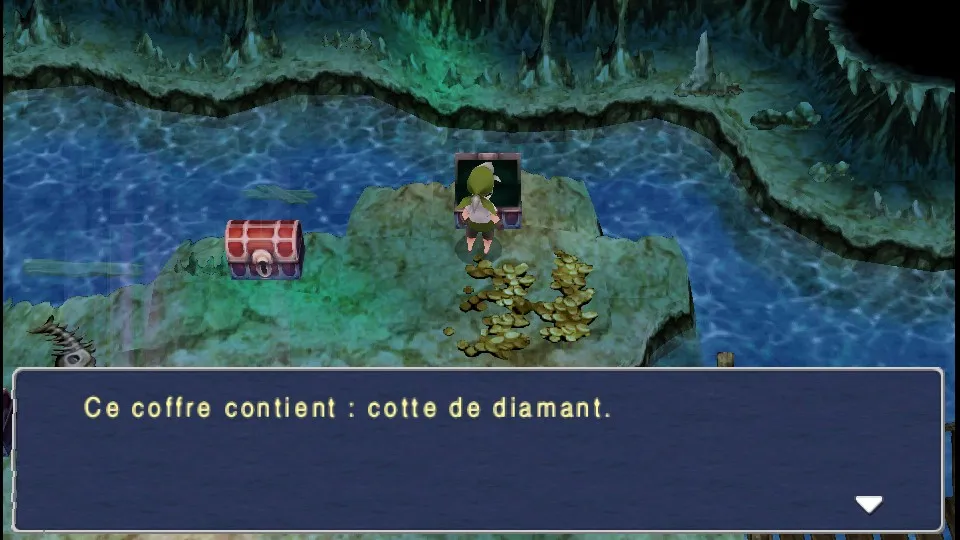 Chapitre 13