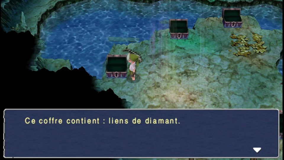 Chapitre 13