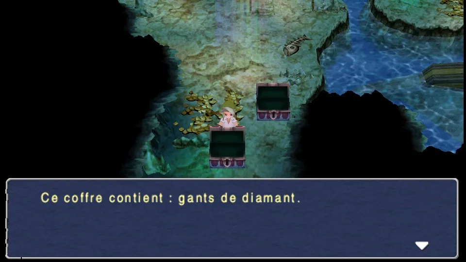 Chapitre 13