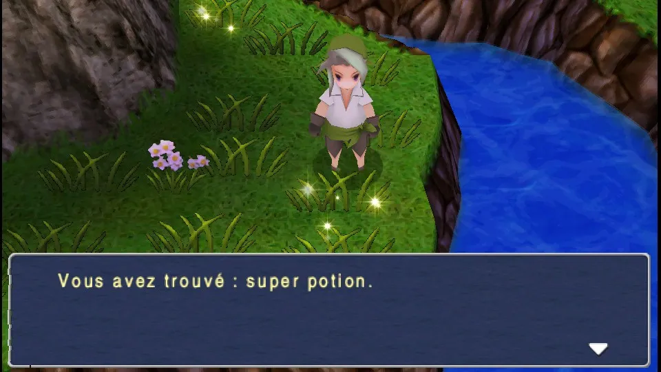 Chapitre 15