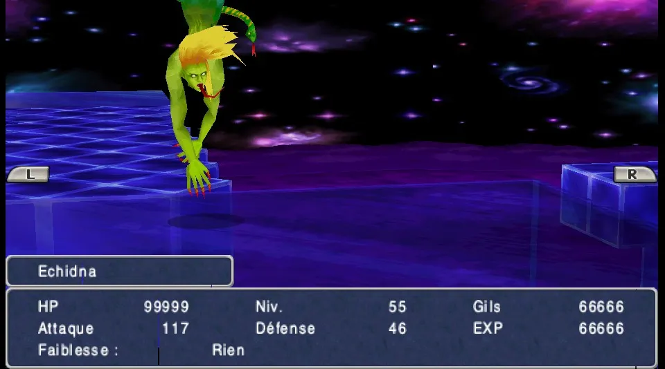 Echidna