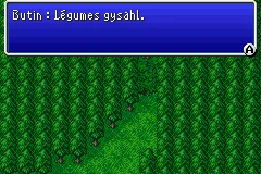 Final Fantasy IV — chapitre 7