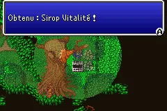 Final Fantasy V — chapitre 18