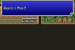 Final Fantasy V — chapitre 11