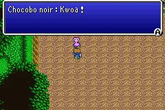 Final Fantasy V — chapitre 13