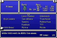 Final Fantasy V — chapitre 14