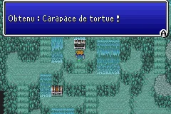 Final Fantasy V — chapitre 29