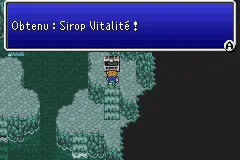Final Fantasy V — chapitre 29