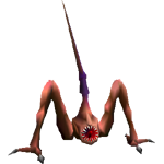 Bahba Velamu