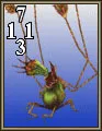 Carte Orchida