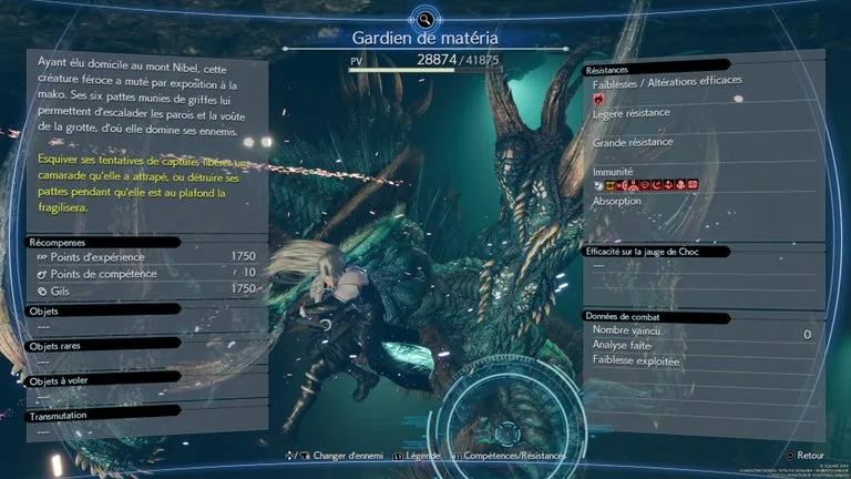 Combat Gardien de matéria — capture 2 sur 9