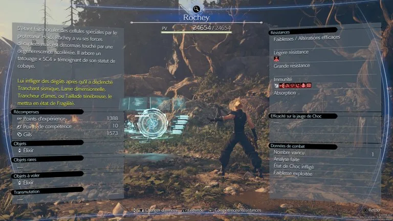 Combat Second duel contre Rochey — capture 2 sur 5