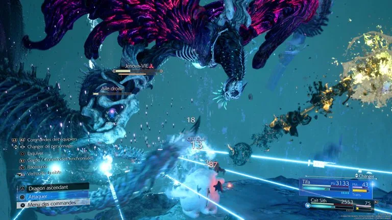 Combat Jénova-VIE — capture 8 sur 13