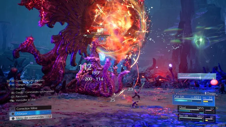 Combat Jénova-VIE — capture 13 sur 13
