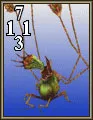 Carte Orchida