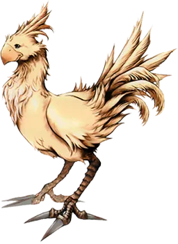 Chocobo