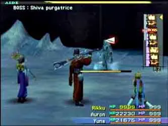 Shiva en combat